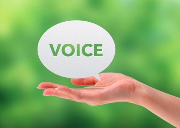 実績・お客様の声